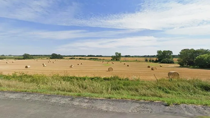 Round hay bales across the 88.5-acre field, seen from County Road 1 under a summer sky