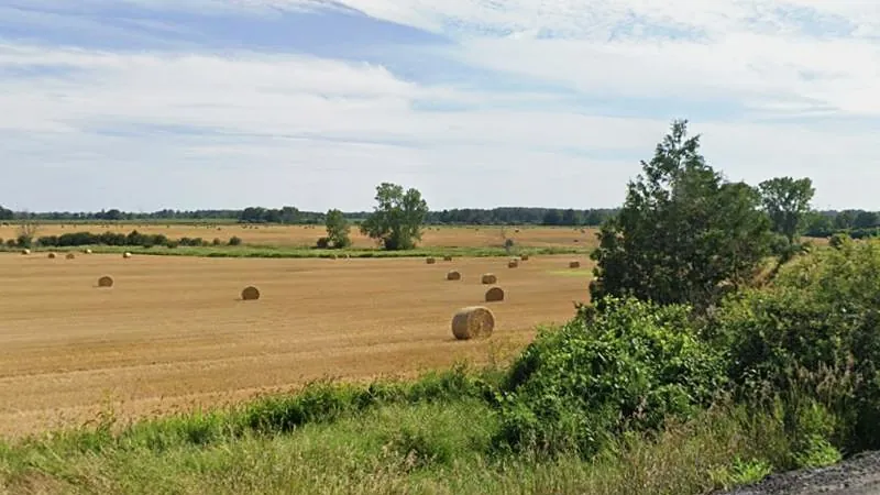 The 88.5-acre field from County Road 1, harvested with bales in rows and a tree line on the horizon